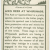 Axis deer at Whipsnade.