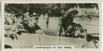 Chimpanzees at the wheel.