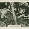 "After lunch."