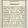 "Strength."