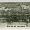 A meeting at Whipsnade.