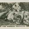 Three Whipsnade personalities