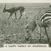 A happy family at Whipsnade.