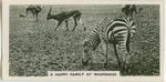 A happy family at Whipsnade.