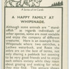 A happy family at Whipsnade.