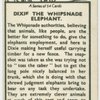 Dixie the Whipsnade elephant.