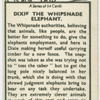 Dixie the Whipsnade elephant.
