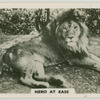 Nero at ease.
