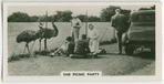 The picnic party.