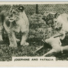 Josephine and Patricia.