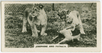 Josephine and Patricia.