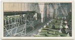 Engine Room.  R.M.S.P. Motorship "Asturias."