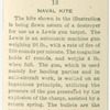 Naval kite.