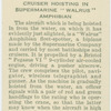 Cruiser hoisting in supermarine "Walrus" amphibian.