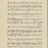 Love's serenade