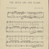 The moth and the flame