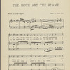 The moth and the flame