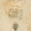 Commemorations.