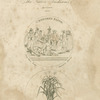 Commemorations.