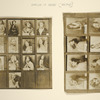 White Studio keysheet for Spring Is Here