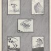 Photographic etchings by G. Maillard Kesslere