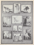 Photographic etchings by G. Maillard Kesslere