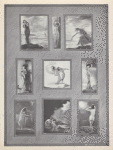 Photographic etchings by G. Maillard Kesslere