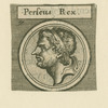 Perseus rex.