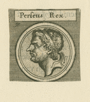 Perseus rex.