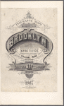 Insurance Maps of the Brooklyn city of New York Volume Nine. Published by the Sanborn map co. 11, Broadway, New York. 1907.