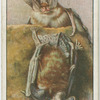Long-eared bats