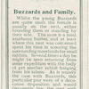 Buzzards and family