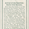 Arrival of sparrow-hawk with rations