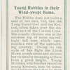 Young hobbies in their home