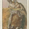 Long-eared bats