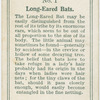 Long-eared bats