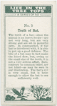 Teeth of a bat