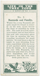 Buzzards and family