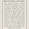 Sparrow-hawk and family