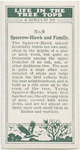 Sparrow-hawk and family