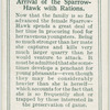 Arrival of sparrow-hawk with rations