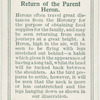 Return of the parent heron