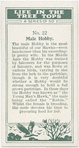 Male hobby