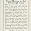Young hobbies in their home