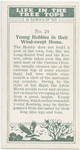 Young hobbies in their home