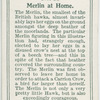 Merlin at home