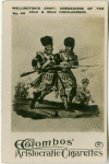 Wellington's army: grenadiers of the 42nd & 92nd Highlanders.