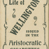 Apsley House, Wellington's seat.
