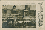 The funeral procession of the Duke of Wellington.