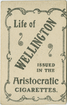 The funeral of the Duke of Wellington.